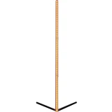 Умная лампа Digma FloorLight FL11