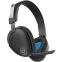 Гарнитура JLab JBuds Work Wireless Headset Black - HBJBUDSWORKRBLK4