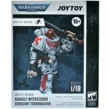 Фигурка JOYTOY Warhammer 40K White Scars Assault lntercessor Sergeant Tsendbaatar (JT3815-v2)