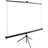 Экран Cactus TriExpert 220x165см (CS-PSTE-220X165-BK)