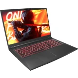 Ноутбук Maibenben X725 (X725FSFNLBRE0)