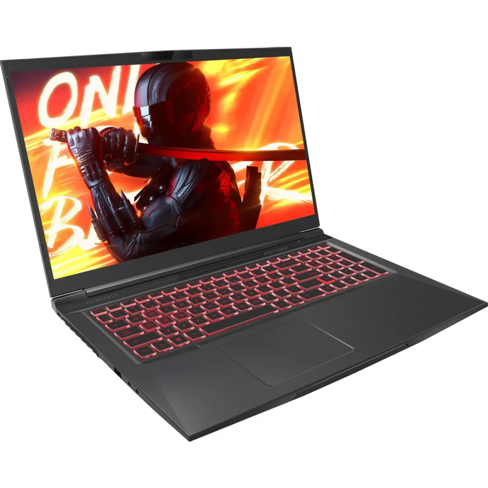 Ноутбук Maibenben X725 (X725FSFNLBRE0) - фото 2