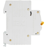 Автоматический выключатель IEK MVA20-1-025-C