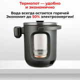 Термопот BQ TP314 Black