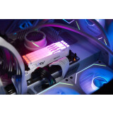 Оперативная память 16Gb DDR5 5600MHz Kingston Fury Beast White RGB (KF556C40BWA-16)