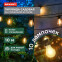 Гирлянда Rexant 602-2421 - фото 2