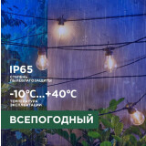 Гирлянда Rexant 602-2421