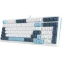 Клавиатура A4Tech Fstyler FS300 Panda Snowboarding - фото 7