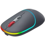 Мышь Canyon MW-22 Dark Gray (CNS-CMSW22DG)