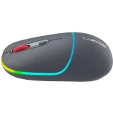 Мышь Canyon MW-22 Dark Gray (CNS-CMSW22DG)