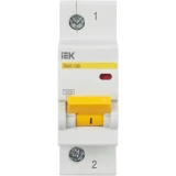Автоматический выключатель IEK MVA40-1-025-C