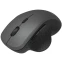 Мышь Philips M624 - SPK7624 - фото 2