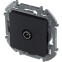 Розетка TV Legrand Inspiria 673873 - фото 2