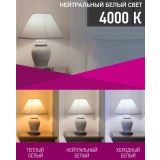Светодиодная лампочка ОНЛАЙТ OLL-C37-6-230-4K-E14-FR (6 Вт, E14) (71629)