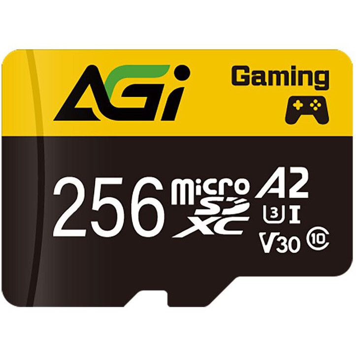 Карта памяти 256GB MicroSD AGI TF138 + SD адаптер