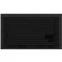 ЖК панель Hisense 55" 55DM66D - фото 3