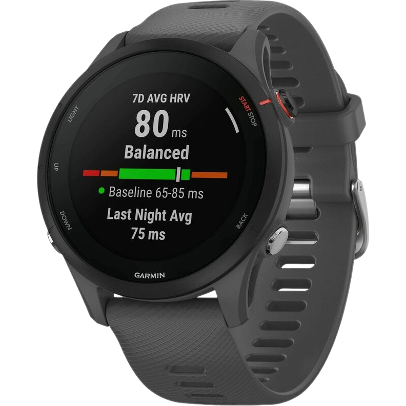 Умные часы Garmin Forerunner 255 45.6 mm Slate Grey - 010-02641-10