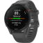 Умные часы Garmin Forerunner 255 45.6 mm Slate Grey - 010-02641-10