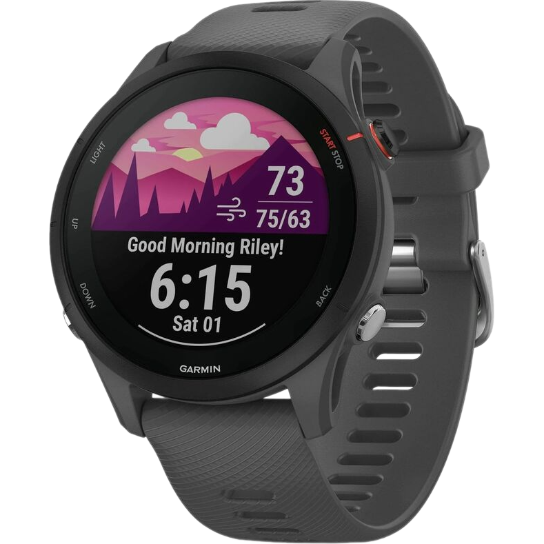 Умные часы Garmin Forerunner 255 45.6 mm Slate Grey - 010-02641-10 - фото 3