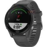 Умные часы Garmin Forerunner 255 45.6 mm Slate Grey (010-02641-10)