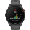 Умные часы Garmin Forerunner 255 45.6 mm Slate Grey - 010-02641-10 - фото 5