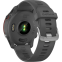 Умные часы Garmin Forerunner 255 45.6 mm Slate Grey - 010-02641-10 - фото 10