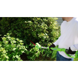 Кусторез Greenworks G40PHA (2300407)