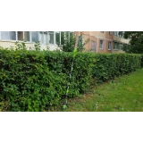 Кусторез Greenworks G40PHA (2300407)