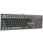 Клавиатура A4Tech Fstyler FS100 Neon Stone Black - фото 3
