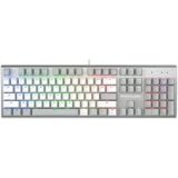 Клавиатура A4Tech Fstyler FS100 Neon Grayish White