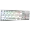Клавиатура A4Tech Fstyler FS100 Neon Grayish White - фото 3