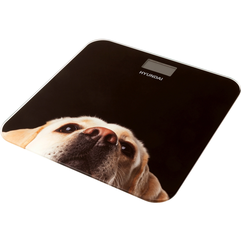 Напольные весы Hyundai H-BS03674 - фото 3