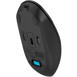Мышь A4Tech Fstyler FG16C Air2 Black (FG16C AIR2 BLACK)