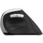 Мышь Rapoo EV250 Silent Black - EV250/13531 - фото 3