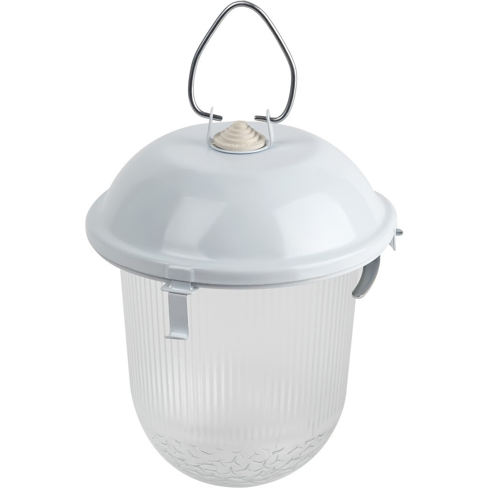 Светильник ЭРА НСП 02-100-001 - Б0052017