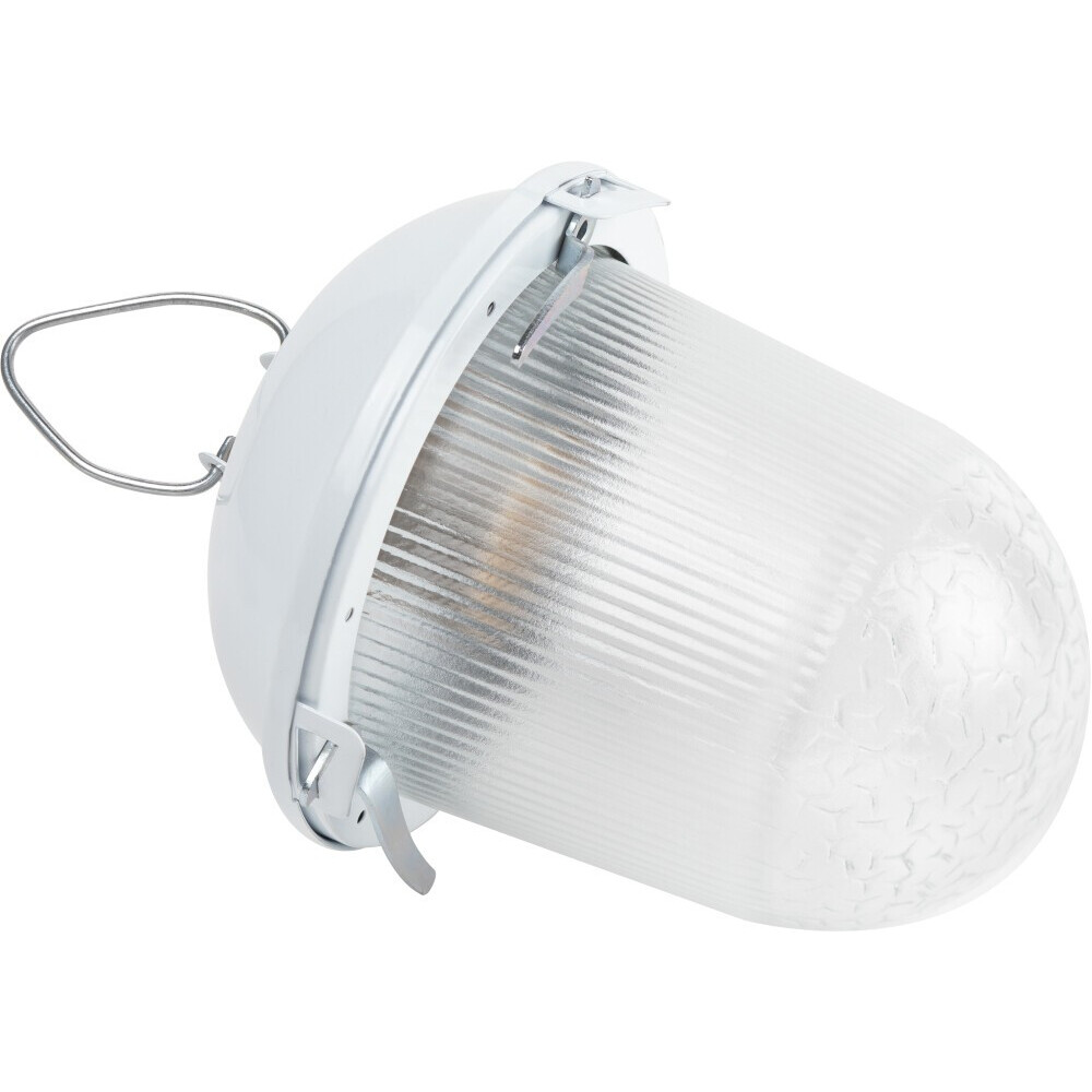 Светильник ЭРА НСП 02-100-001 - Б0052017 - фото 2