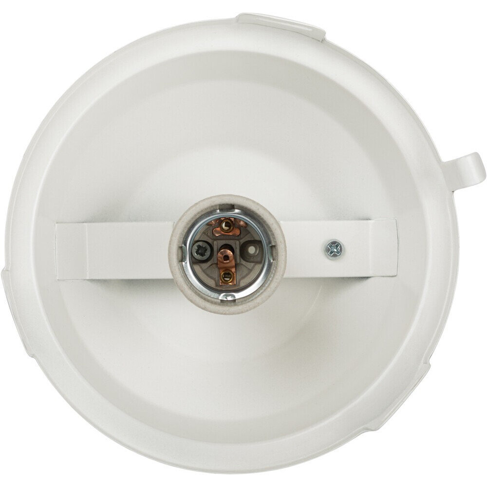 Светильник ЭРА НСП 02-100-001 - Б0052017 - фото 3