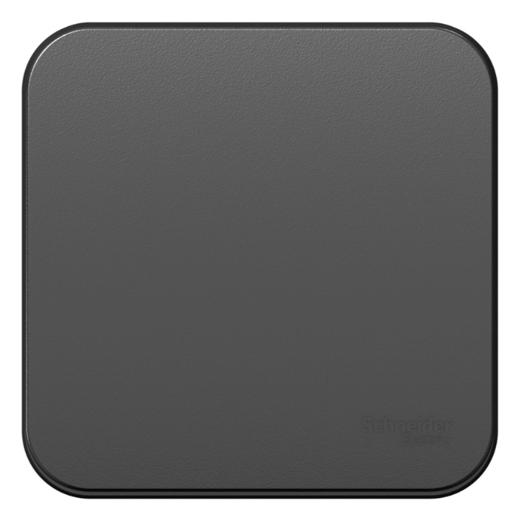 Выключатель Schneider Electric Blanca BLNVA101016 - фото 2