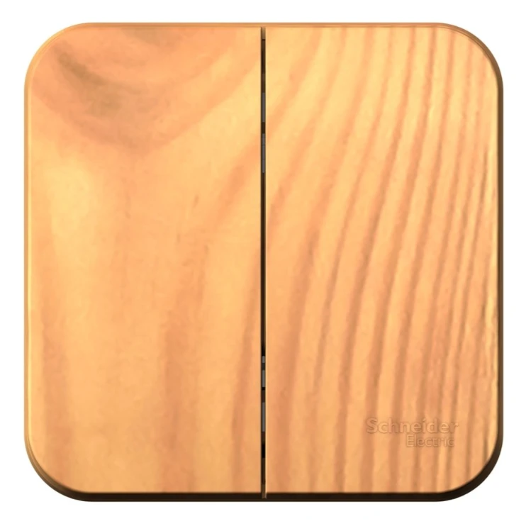 Выключатель Schneider Electric Blanca BLNVA105015 - фото 2