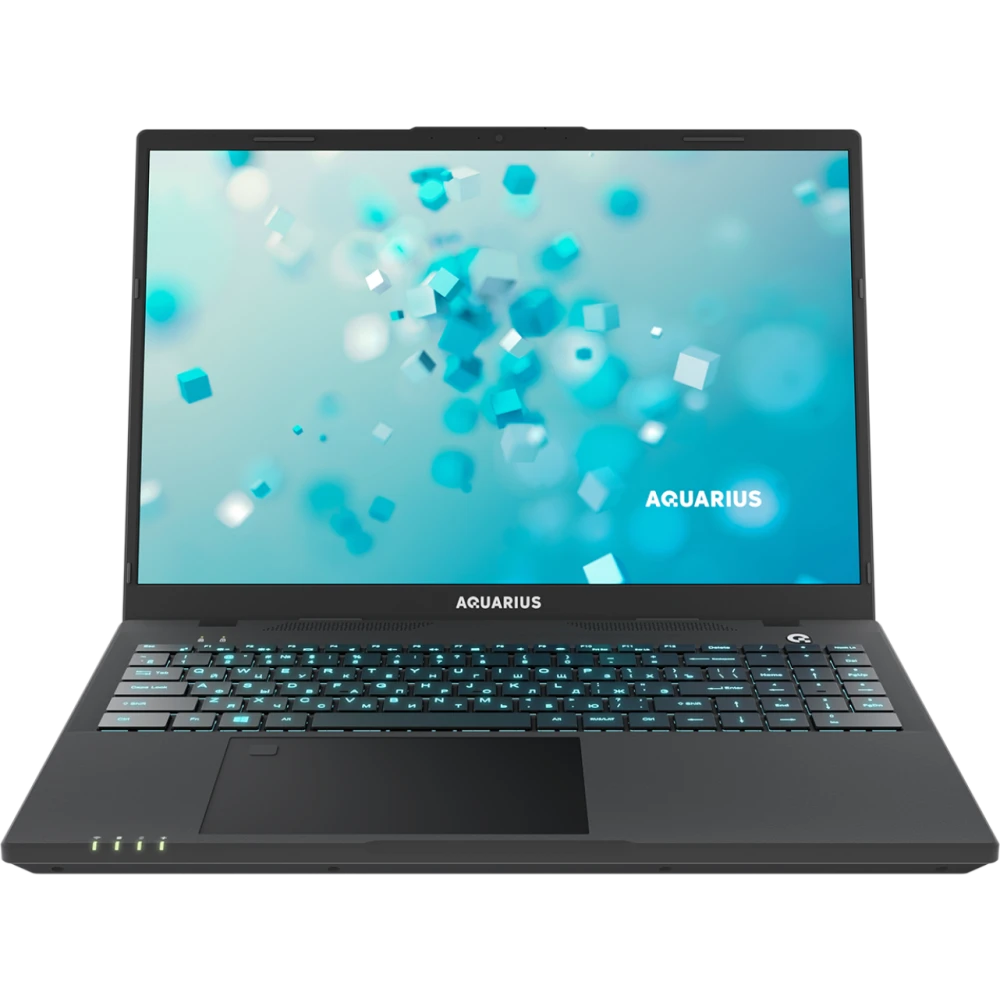 Ноутбук Aquarius Cmp NS616 (CN-NS616152518S125SCN2TNNNN2)