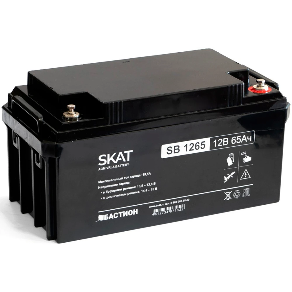 Аккумуляторная батарея Бастион SKAT SB 1265