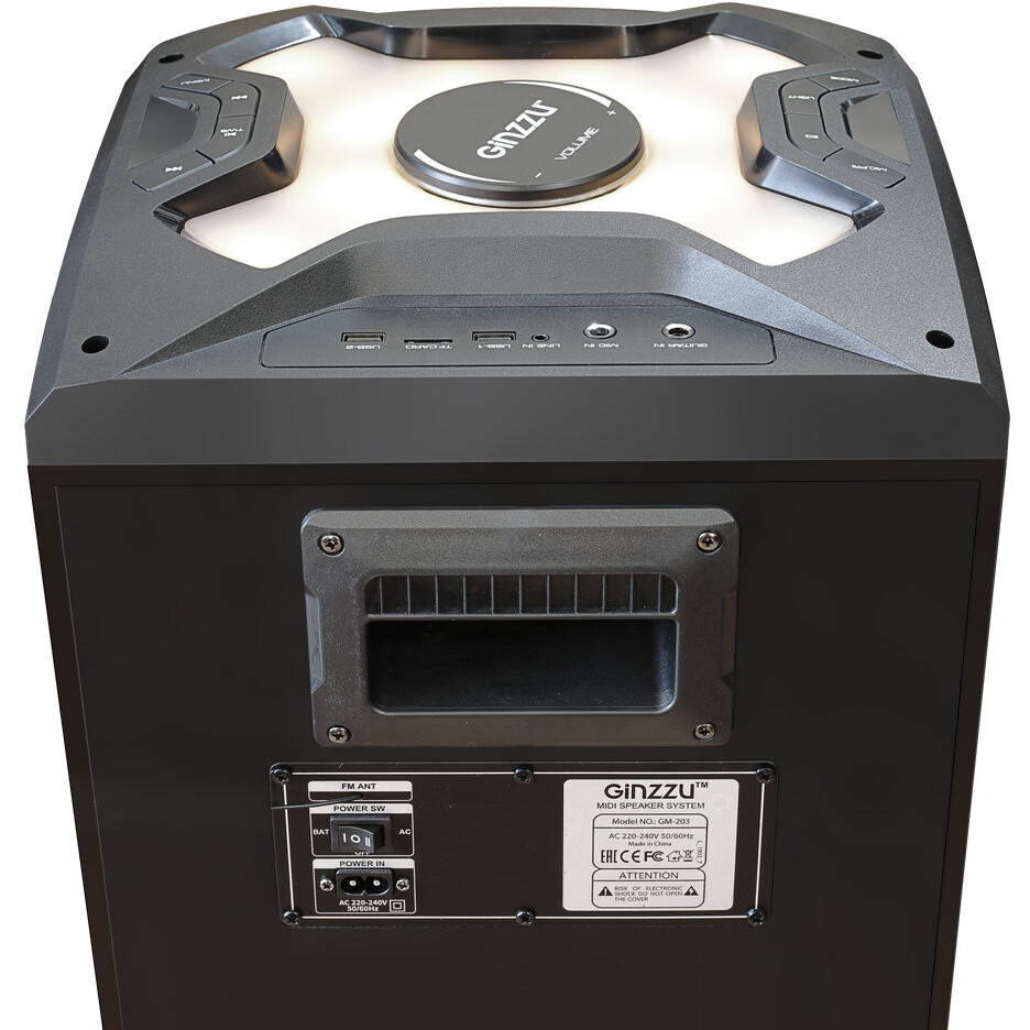 Портативная акустика Ginzzu GM-203 - фото 5
