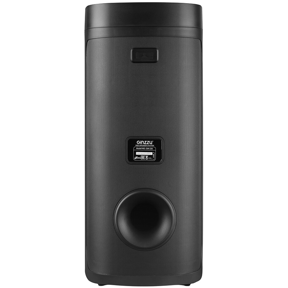 Портативная акустика Ginzzu GM-226 - фото 3