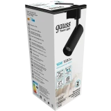 Светильник Gauss TR082