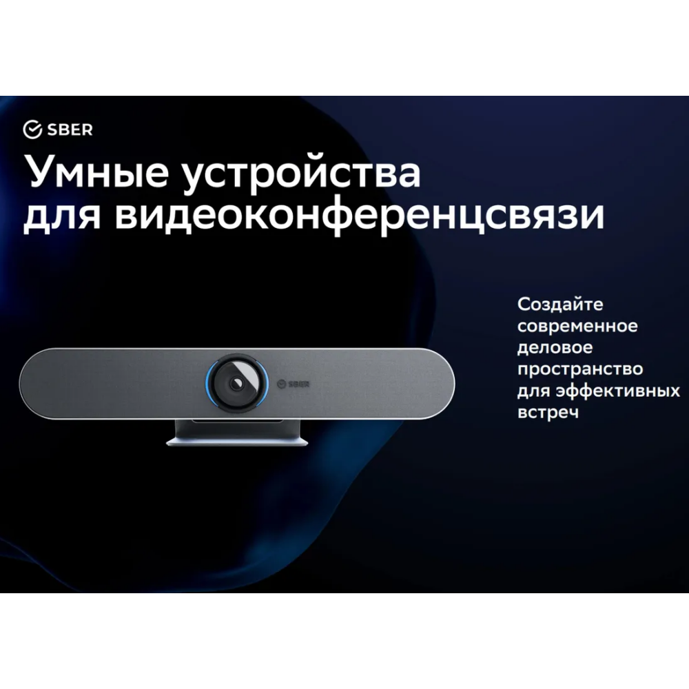 Конференц-камера SBER SDVB-4Х001B - фото 3