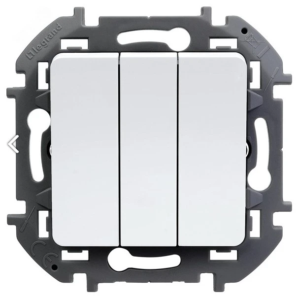 Выключатель Legrand Inspiria 673540 - фото 2