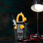 Токоизмерительные клещи MASTECH MS2030 - 13-1305 - фото 9