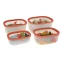 Вакуумные контейнеры Status Fresko set 4 Salmon