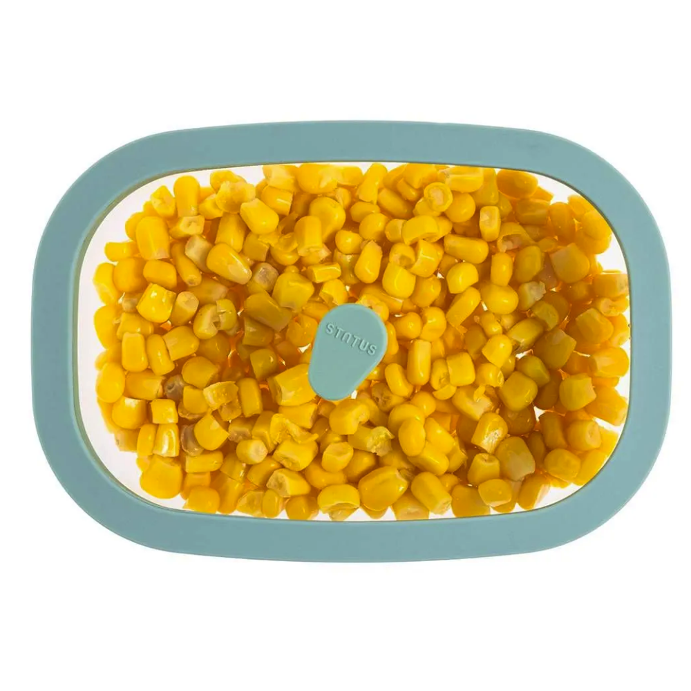 Вакуумный контейнер Status Fresko 14 Mint - фото 2