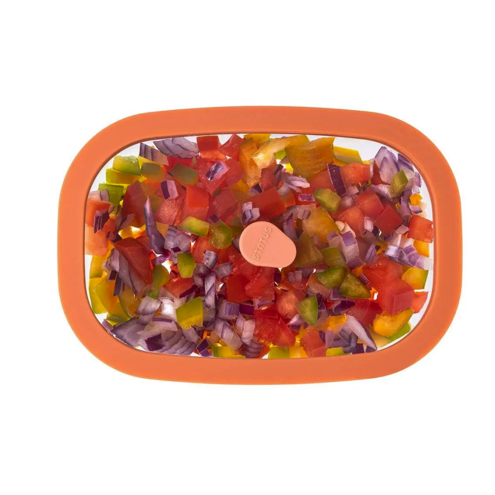 Вакуумный контейнер Status Fresko 14 Salmon - фото 2